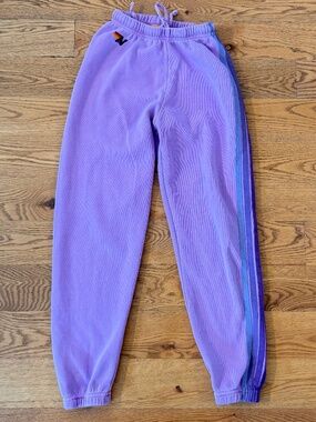 Aviator Nation 5 Stripe Sweatpants in Purple (Size XS)